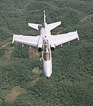 AMX Brazil