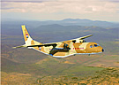 C295 EAF
