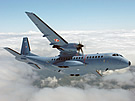 Polish C295