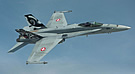 Schweitzer Luftwaffe F/A-18C
