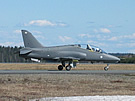 Finnish Hawk