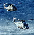 NH90 NFH (bottom), TTH (top)