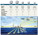 SPY-1 variants