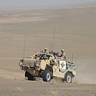 Jackal