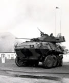 LAV-25 Combat picture