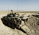 Canadian LAV-III, Afghanistan