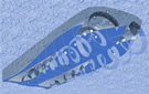 M-Hull Technology