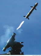 Griffin missile