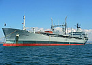 RFA Bayleaf